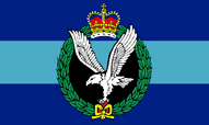 Army Air Corps Flags